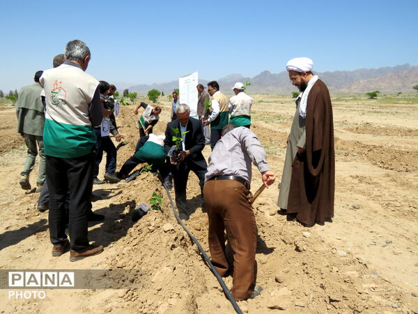 آیین "درخت سرو ایران" در شهرستان خلیل آباد 