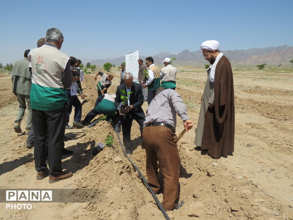 آیین "درخت سرو ایران" در شهرستان خلیل آباد 