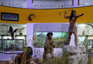 بازدید از موزه تاریخ طبیعی شیراز