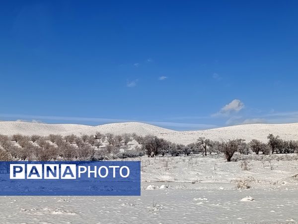 برف زمستانی مهمان شهرستان کیار شد