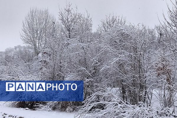 آسمان سخاوتمندانه نعمتش را در ماه شعبان به زمین شهر بار هدیه کرد