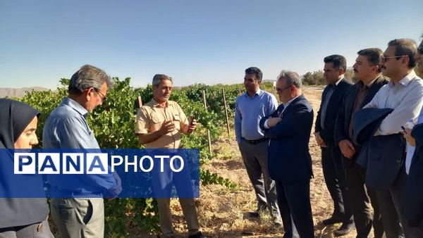 سفر معاون وزیر جهاد کشاورزی به کاشمر