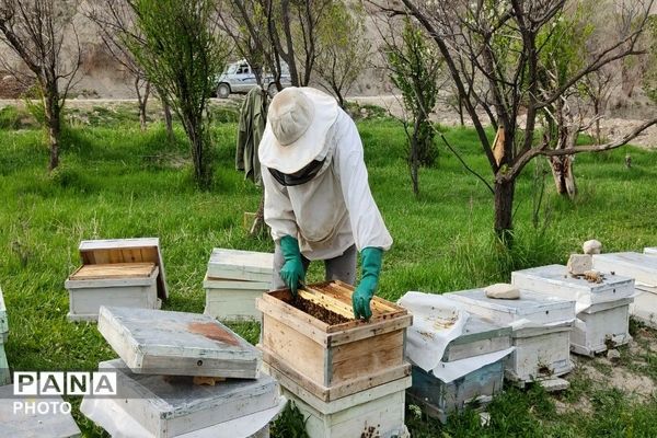 حال و هوای شهر بار نیشابور در فصل زیبای بهار
