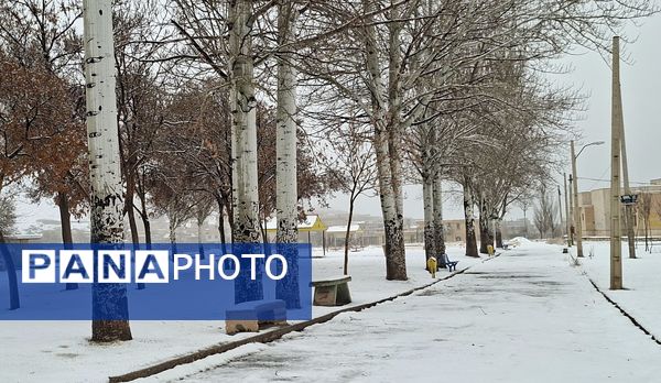 برف بی‌پایان، شهرستان بن را در آغوش سپیدی برد