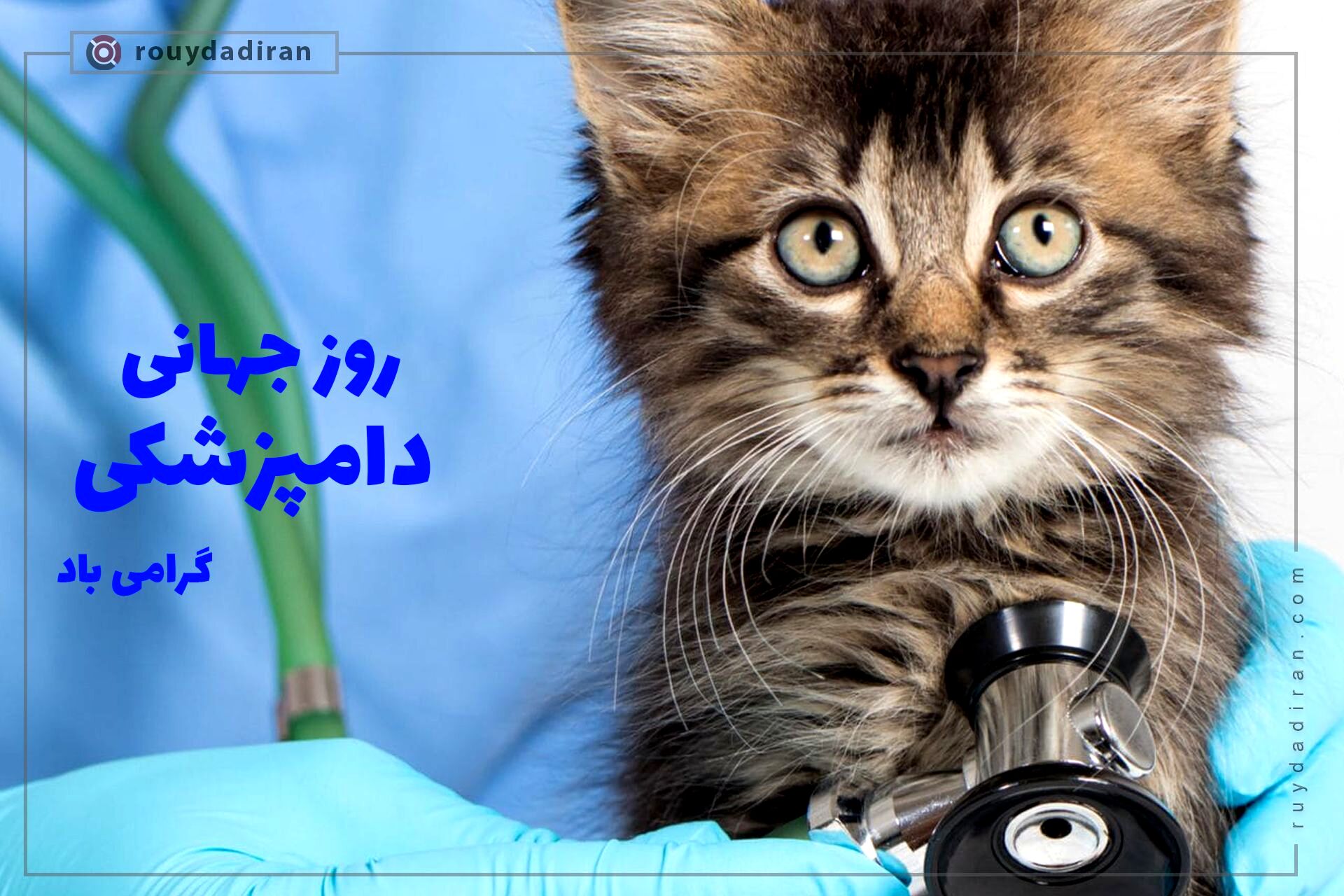 روز دامپزشکی به کمک به حیوانات خانگی و بیرونی در کنار معالجه دام‌ها می‌پردازد