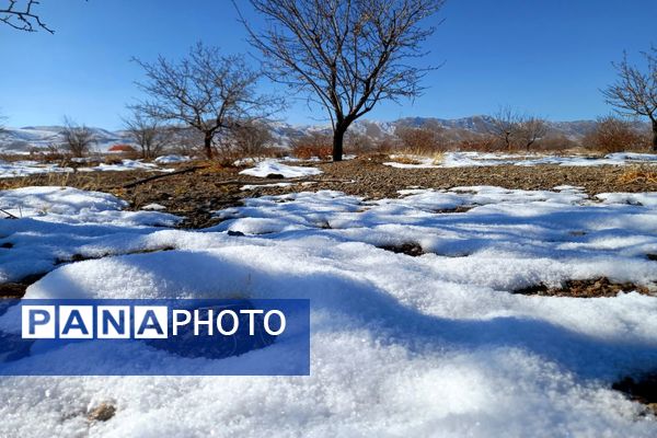 رد پای برف در باغات نهضت آباد اصفهان