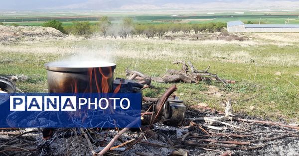 هنر در طبیعت نهفته است