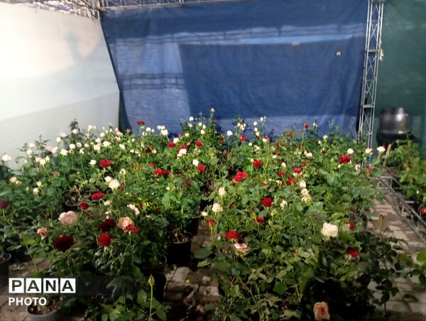نمایشگاه گل و گیاه مشهد فرصتی برای دیدن زیبایی‌های طبیعت و خرید