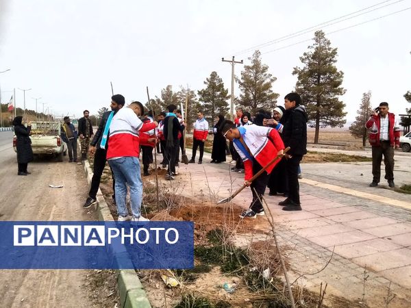 روز درختکاری در تربت جام