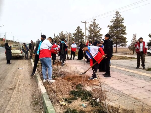 روز درختکاری در تربت جام