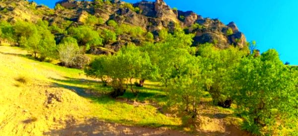 جاذبه‌های گردشگری روستای دوازده‌ امام 