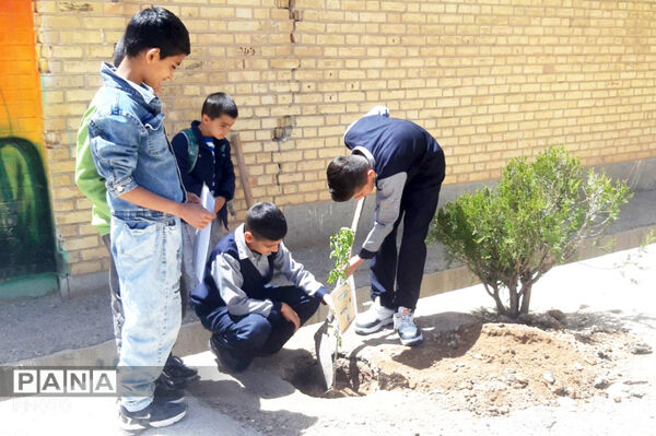 یادبود سبز؛ نهال‌ها در لردگان، خاطره‌ شهدا در میناب