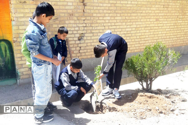 یادبود سبز؛ نهال‌ها در لردگان، خاطره‌ شهدا در میناب