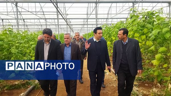 بازدید از گلخانه نمونه خسروشاه در هفته بسیج