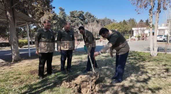 پویش سراسری «سرو ایران» در روز درختکاری آغاز شد