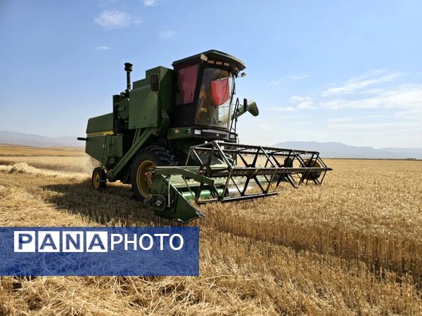 بازدید از مراکز خرید گندم در شهرستان فاروج