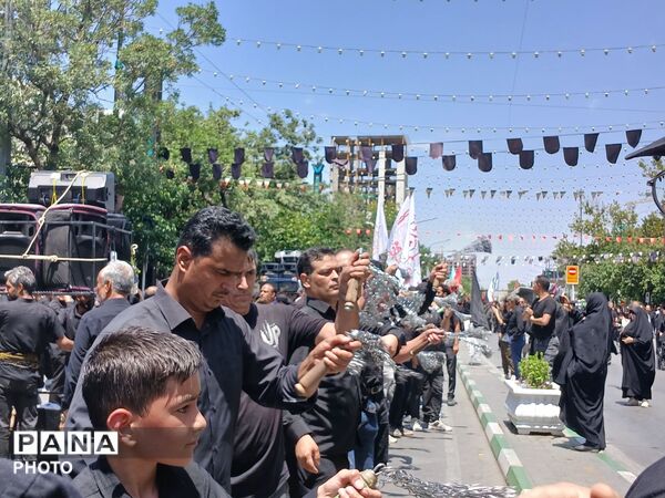 عاشورا؛ روایت دلدادگی در قاب اشک و ارادت 