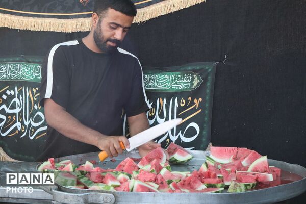 پای کار زائر؛روایت خدمت بی چشمداشت موکب داران در مسیر مشهد