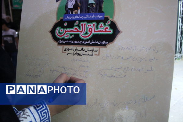 پیاده‌روی جاماندگان اربعین حسینی در بوشهر