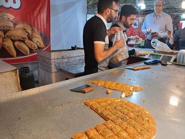 بازدید از نمایشگاه پاییزه سفر به شهرهای ایران