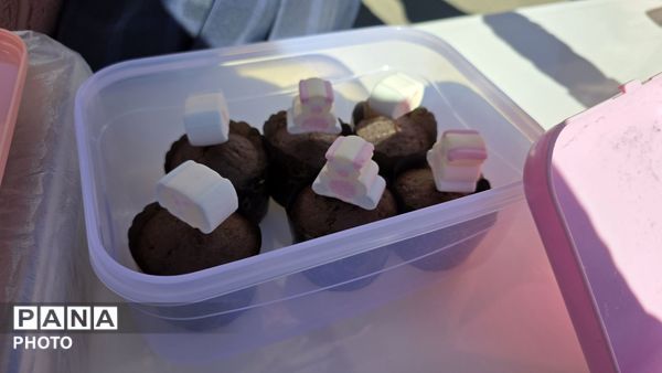 بازارچه در مدرسه آل ابراهیم شهرکرد 