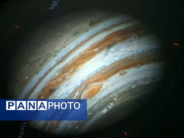 بازدید دانش‌آموزان مدرسه شهدای غزه (1) قم از نمایشگاه تاکسیدرمی کانون پردیسان