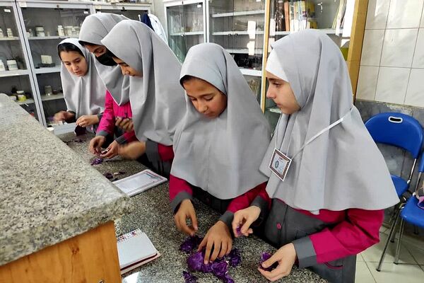 کارگاه «طعم یک پژوهش کوچک» در پژوهش سرای کاوش کهریزک