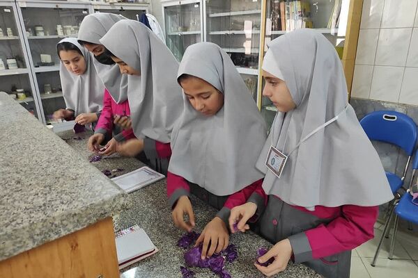 کارگاه «طعم یک پژوهش کوچک» در پژوهش سرای کاوش کهریزک