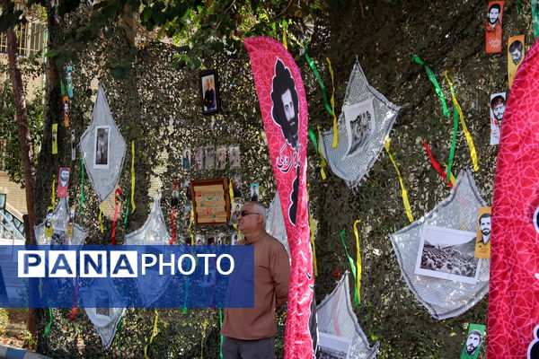 بزرگداشت شهدای دفاع مقدس در آموزش و پرورش ناحیه 4 کرج