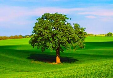 لرستان، جلوه‌گاه سنت سیزده بدر
