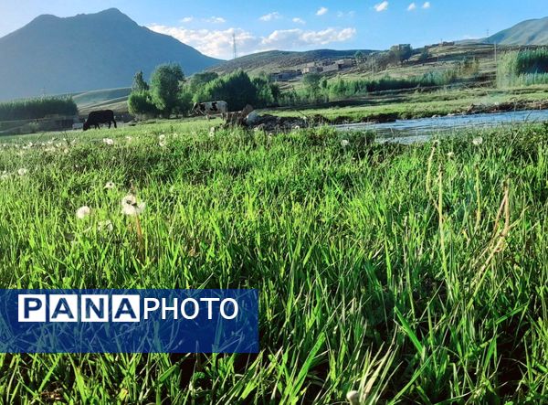 طبیعت شهر سودجان در بهار