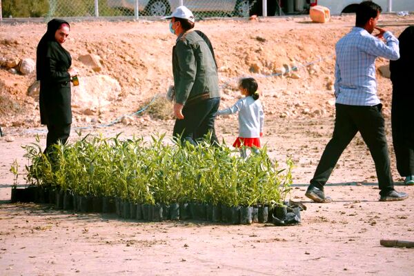 ۲۵۰۰‌ اصله‌ نهال‌حرا‌ در‌ بندرخمیر‌ کاشته‌ شد