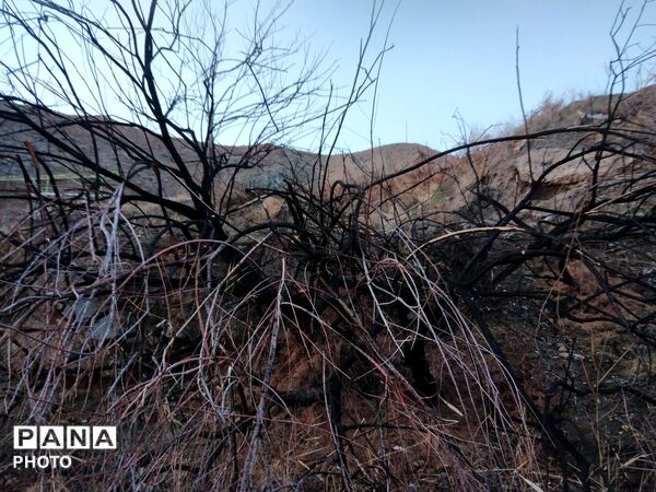 درهٔ پرستو ها در شهر نیشابور