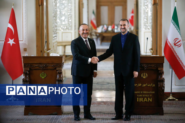 دیپلمات شهید