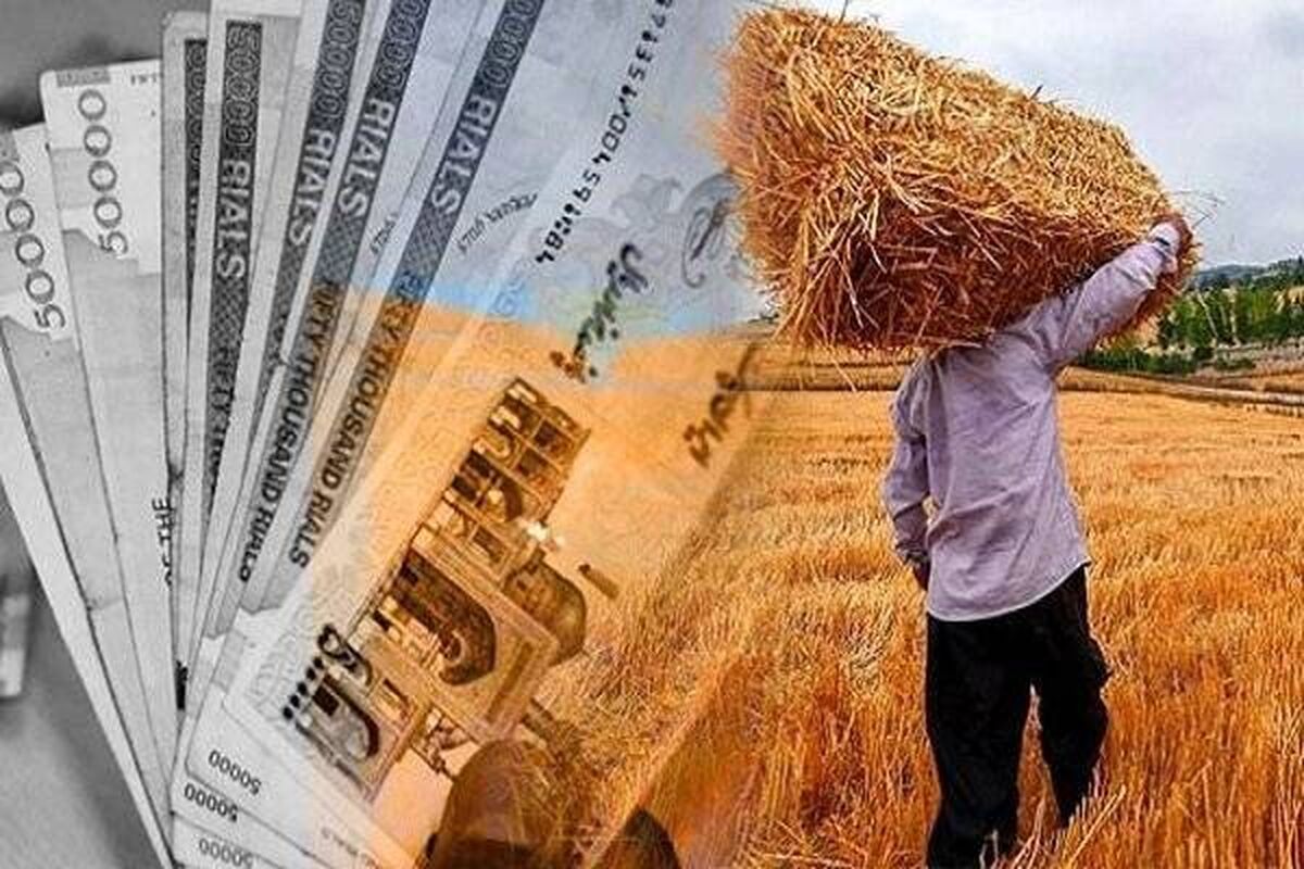 پرداخت کامل مطالبات گندم‌کاران ۲ ماه پس از تاکید رئیس قوه قضاییه