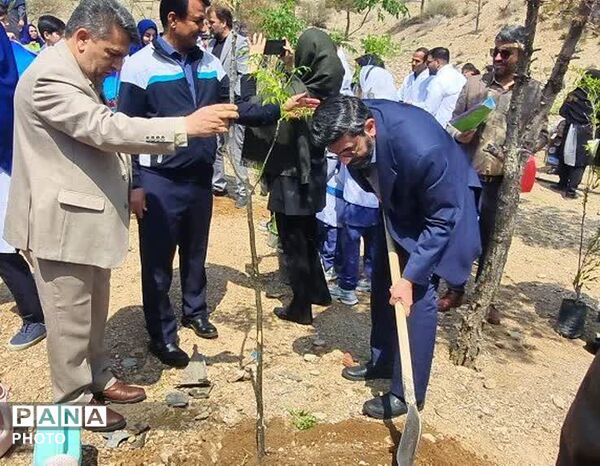 کاشت نهال امید در پاکدشت