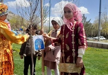 شکوفه‌هایی که روی نهال‌های ایران جای گرفت