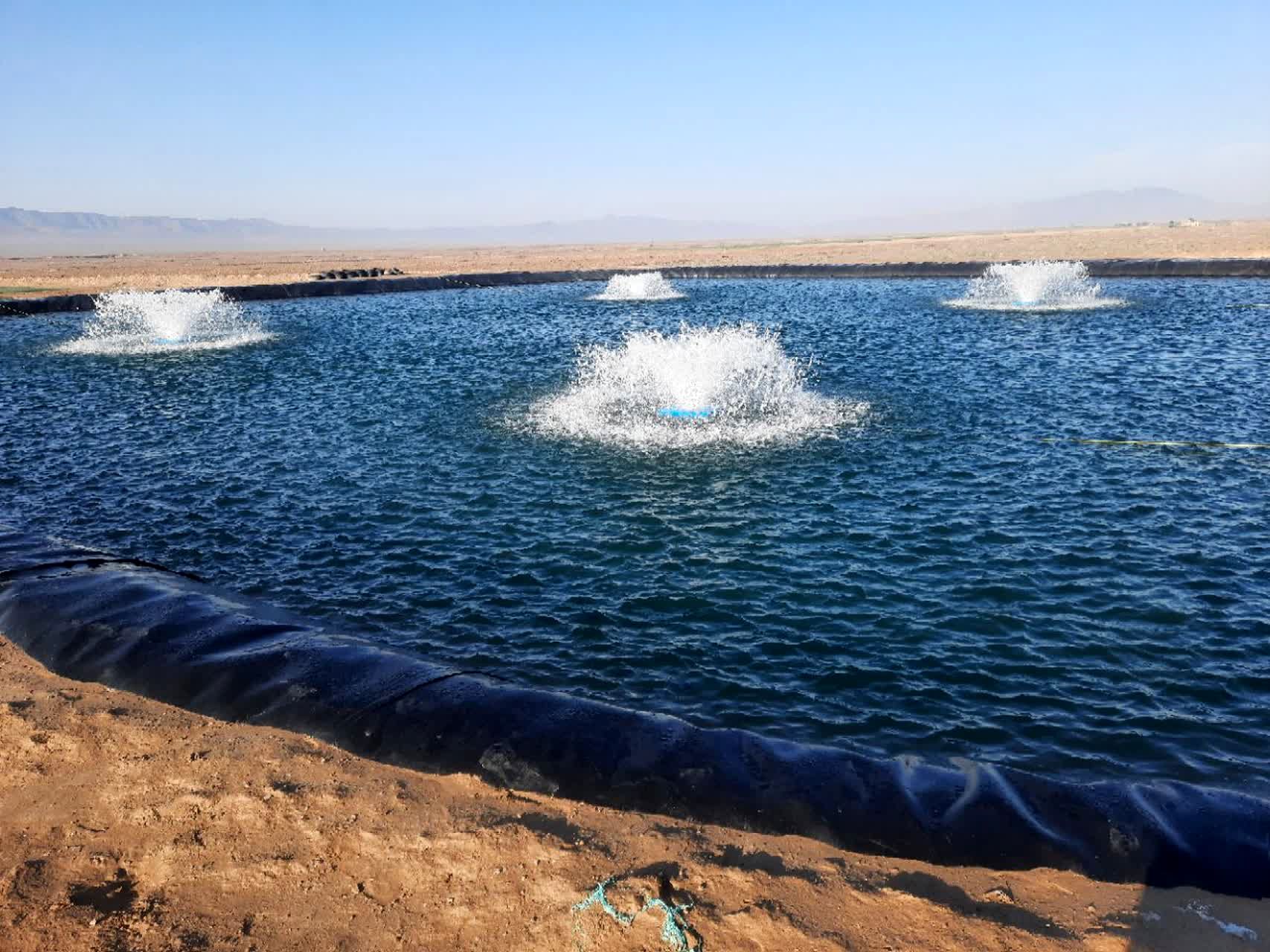 آغاز به کار واحد شیلاتی پرورش بچه‌ماهی قزل‌آلا در منطقه