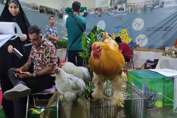 اولین رویداد استانی الف تا در مشهد