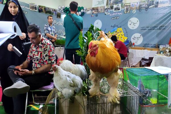 اولین رویداد استانی الف تا در مشهد