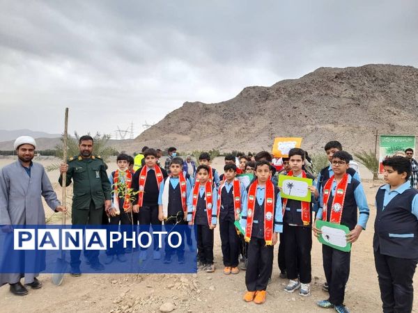 مراسم نمادین کاشت نهال در حاجی‌آباد 