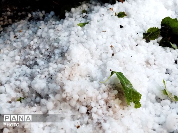 بارش رحمت الهی همراه با تگرگ در شهرستان نیشابور 