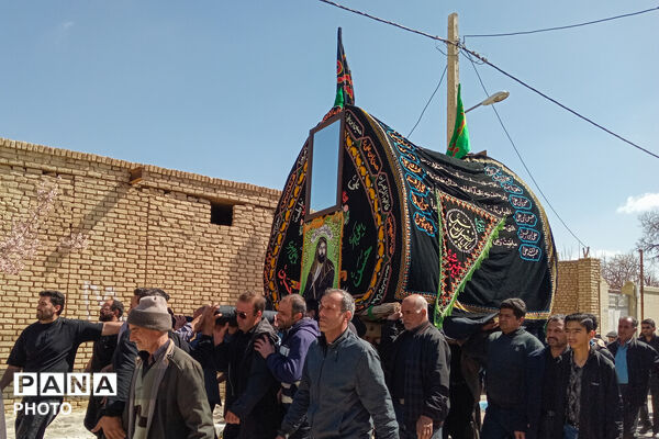 نخل‌برداری بنادکوک‌دیزه در سوگ امام علی (ع)