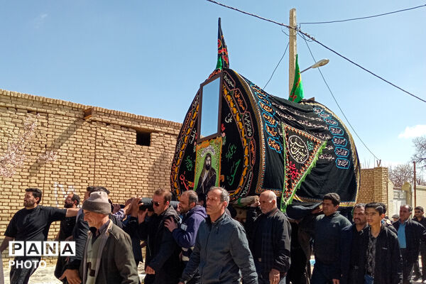 نخل‌برداری بنادکوک‌دیزه در سوگ امام علی (ع)