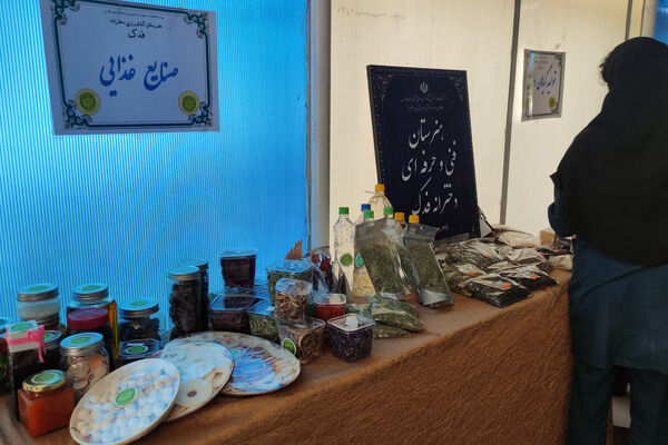 نمایشگاه آثار هنری هنرستان‌ها به‌مناسبت هفته مشاغل 