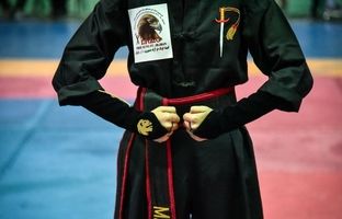 نباید در جریان استعدادیابی ورزشی دانش‌آموزی غفلت کنیم/ ‌کونگ‌فوکاران ما در رسانه‌ها جایی ندارند