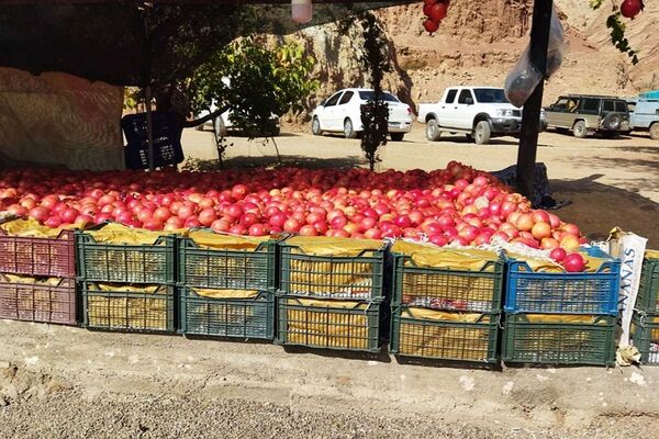 برگزاری جشنواره «یاقوت باران» در فیروزکوه