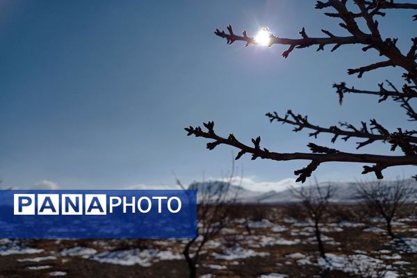 رد پای برف در باغات نهضت آباد اصفهان