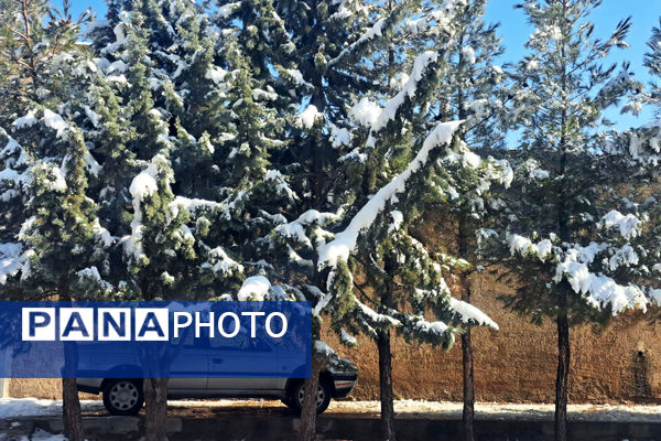 بارش برف شهرستان اقلید را سفید پوش کرد