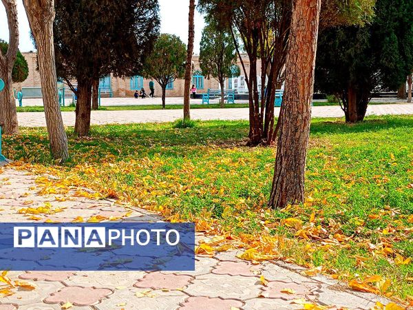 کاشمر در برگریزان پاییز